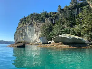 Glass Bottom Boat Whitianga