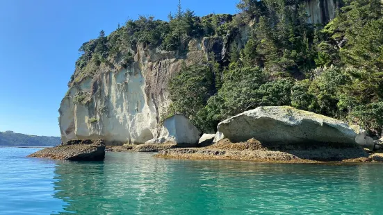 Glass Bottom Boat Whitianga