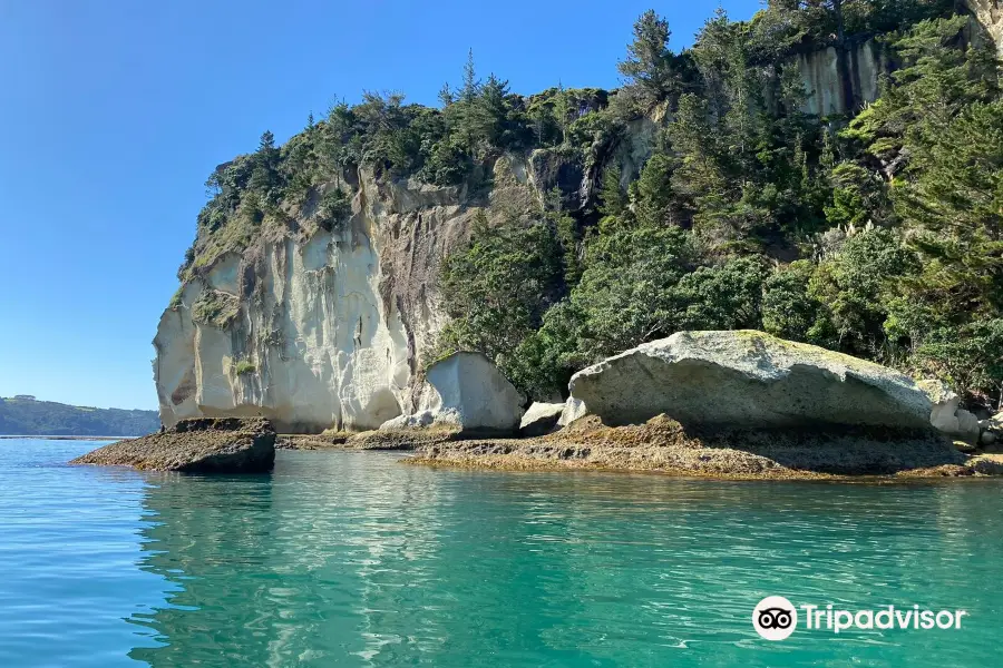 Glass Bottom Boat Whitianga