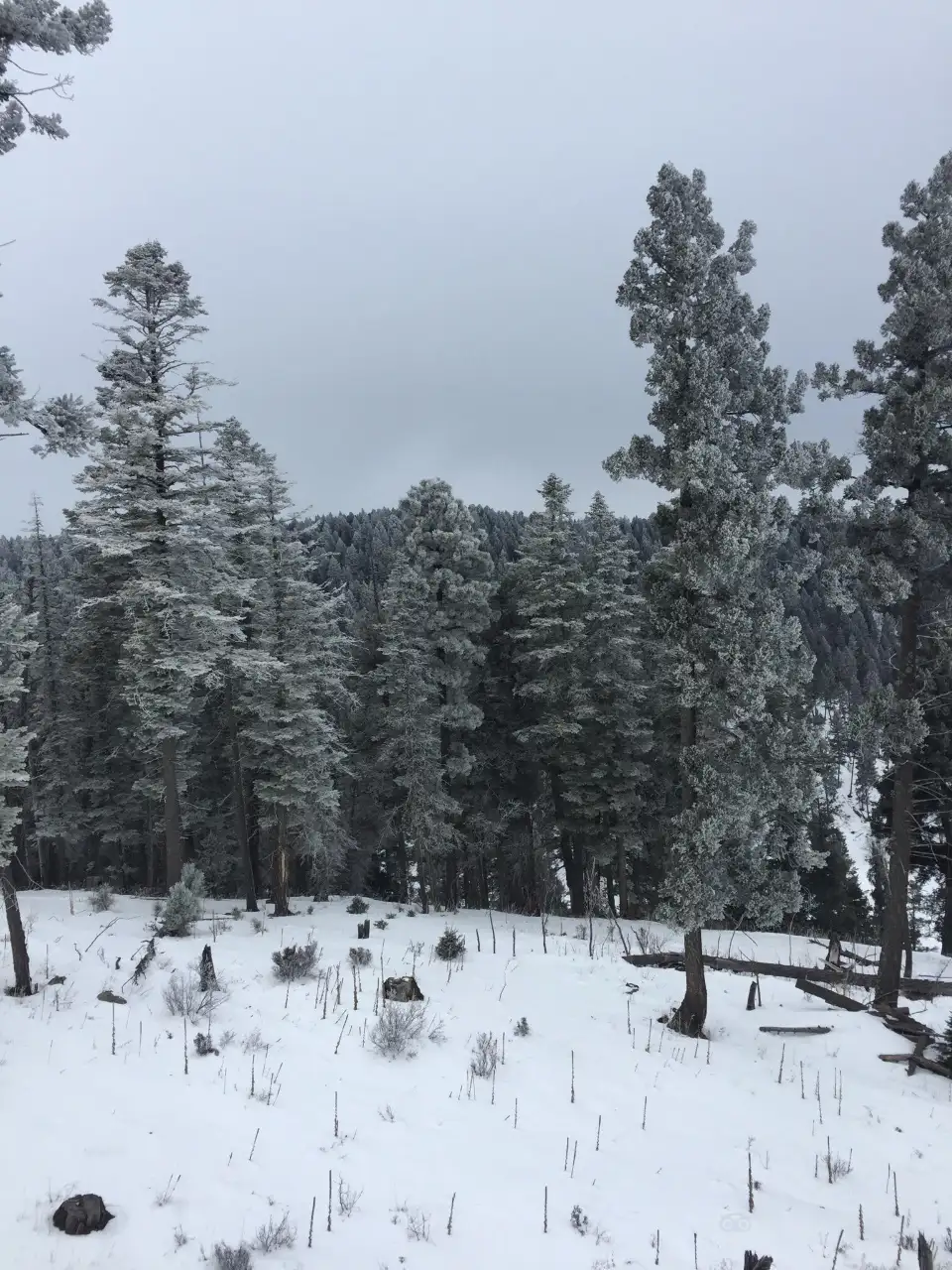 2_Ski Cloudcroft
