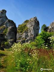 Gora Zborow - Jaskinia Gleboka w Podlesicach