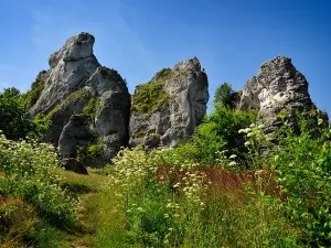 Gora Zborow - Jaskinia Gleboka w Podlesicach