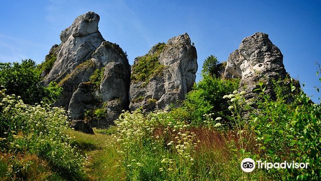 Gora Zborow - Jaskinia Gleboka w Podlesicach
