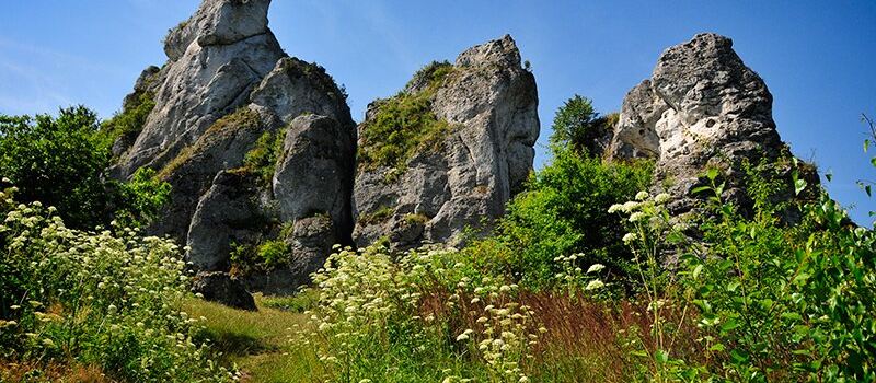 Gora Zborow - Jaskinia Gleboka w Podlesicach