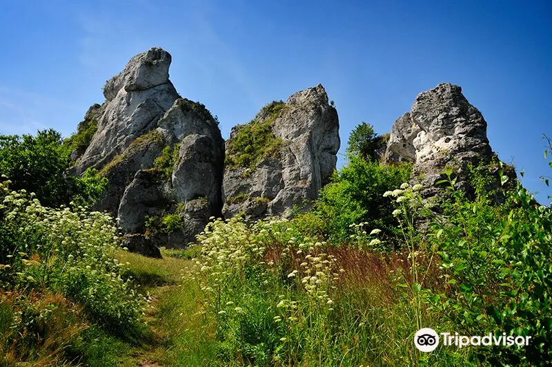 Gora Zborow - Jaskinia Gleboka w Podlesicach