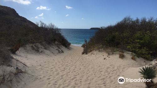 Grande Saline Beach