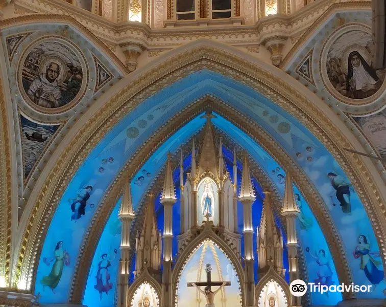 Our Lady of Lourdes Metropolitan Cathedral