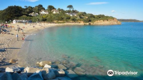 Swanpool Beach