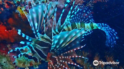 Boracay Eclipse Dive Center