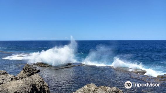 Mapu'a Vaea Blowholes