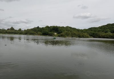 Llandrindod Lake