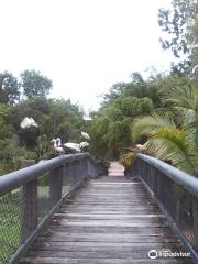 Daintree Wild Zoo