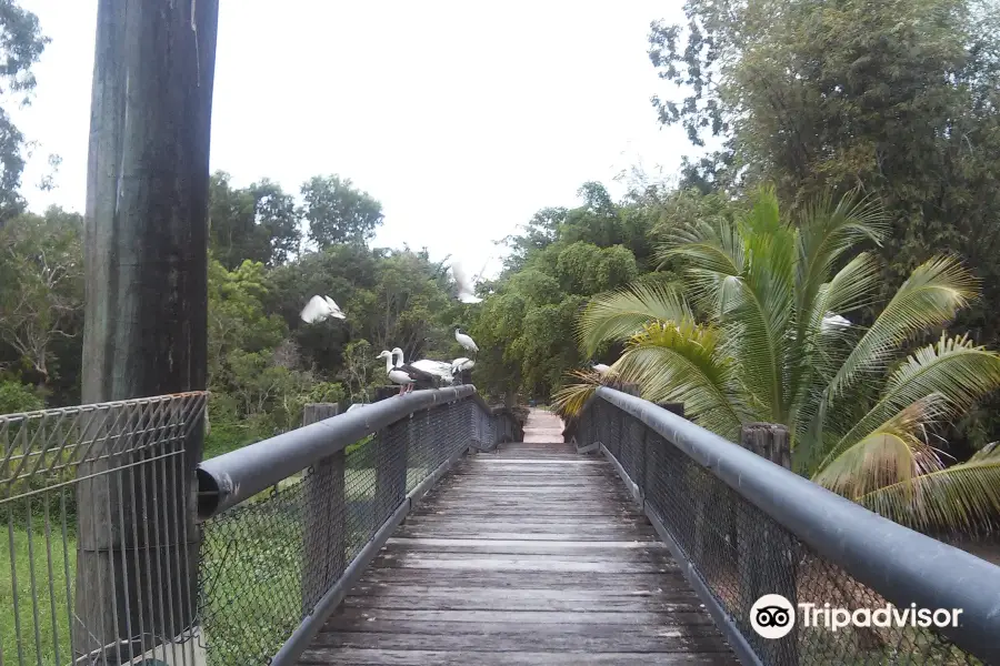 Daintree Wild Zoo