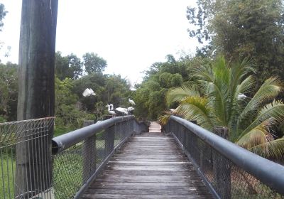 Daintree Wild Zoo