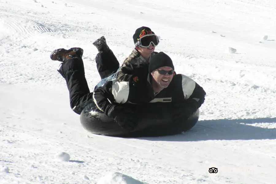 Alpine Slide at Magic Mountain