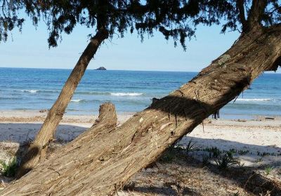 Plage De Pinarello