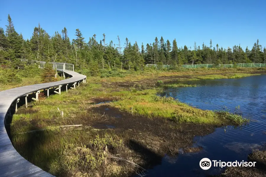 SalmonierIala Nature Park