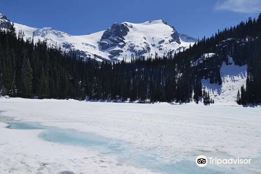 Joffre Lakes Park (Pre-booked day pass required)