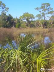 Werner-Boyce Salt Springs State Park