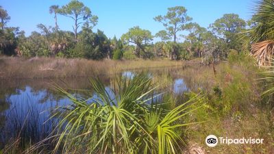 Werner-Boyce Salt Springs State Park