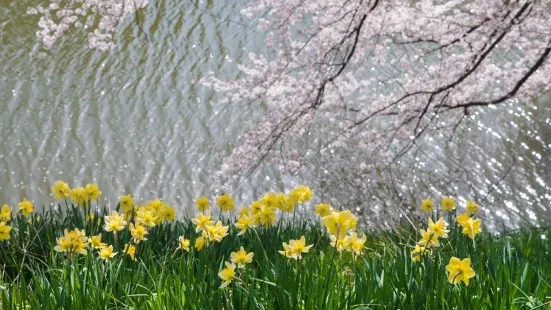 玉川公園