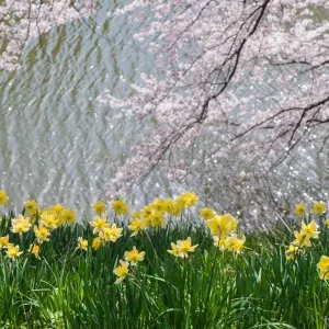 玉川公園