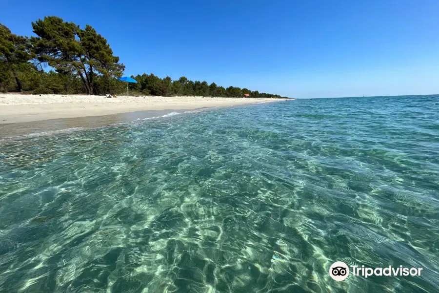 Plage de Pinia