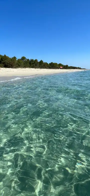 Hotels in Ghisonaccia