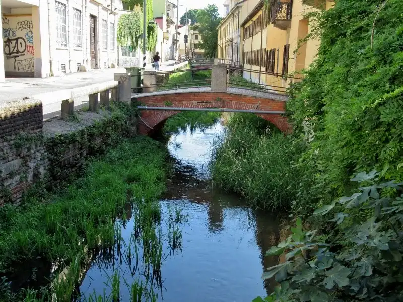 Hotel in zona Roggia Boniforti