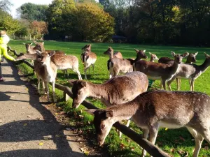 Wildpark Grafenberg