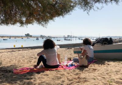 Plage de l'Horizon