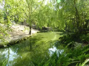 Petit Paradis de Vendargues