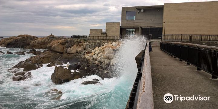 Aquarium Finisterrae