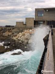 菲尼斯特拉埃水族館