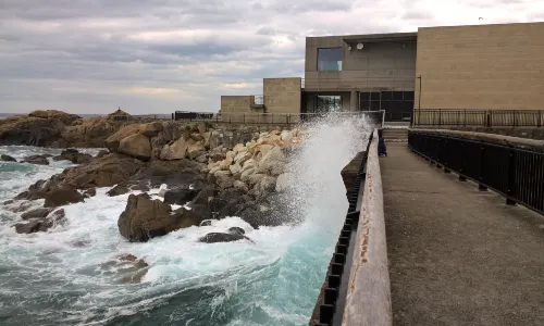 Aquarium Finisterrae