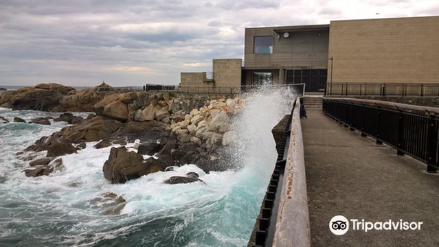 Aquarium Finisterrae