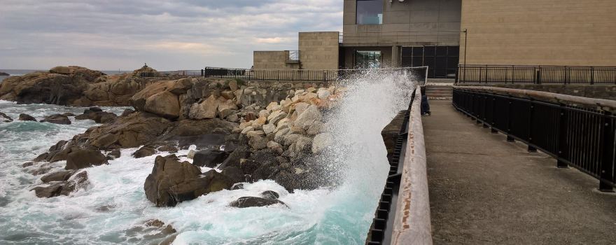 Aquarium Finisterrae