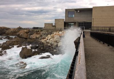 フィニステレ水族館