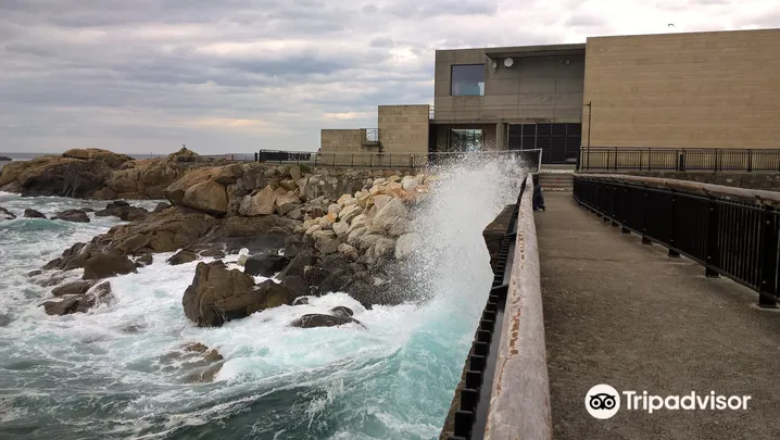 2_Aquarium Finisterrae