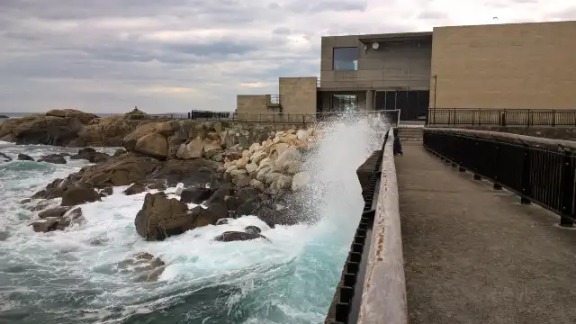 Aquarium Finisterrae