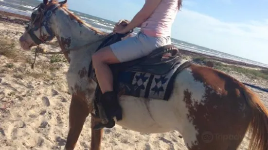 S-N-G Horseback Riding
