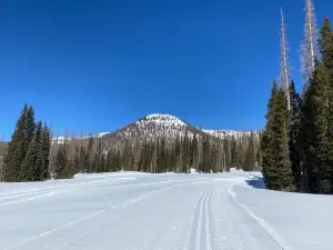 Área de ski de Wolf Creek