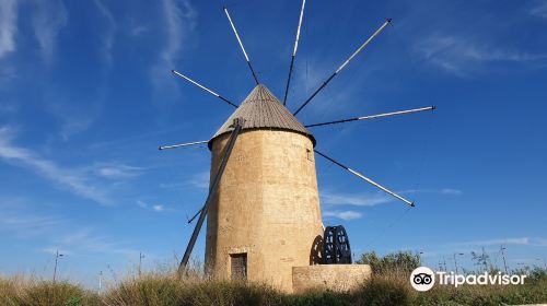 Molino de Los Camachos