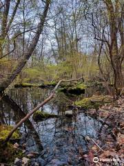 Black Creek Preserve