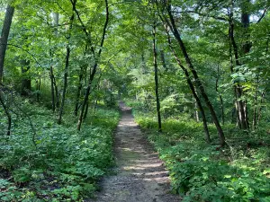 ワウボンジー州立公園