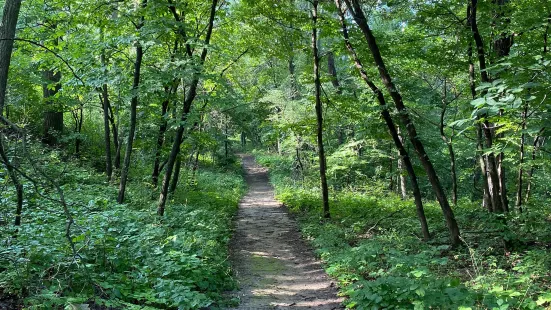 Waubonsie State Park