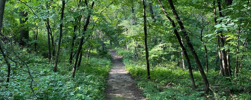 Waubonsie State Park