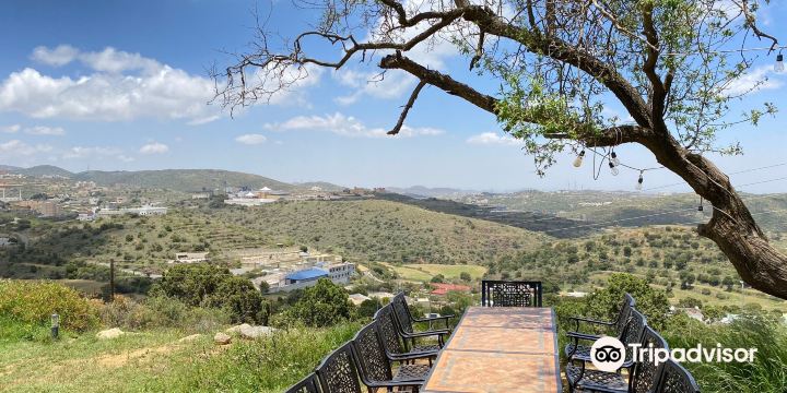 Abha High city