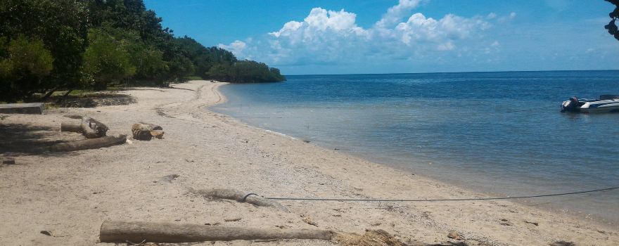 Bama Beach