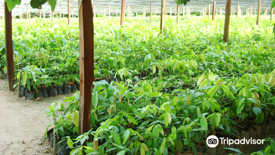 Hacienda Jesus Maria